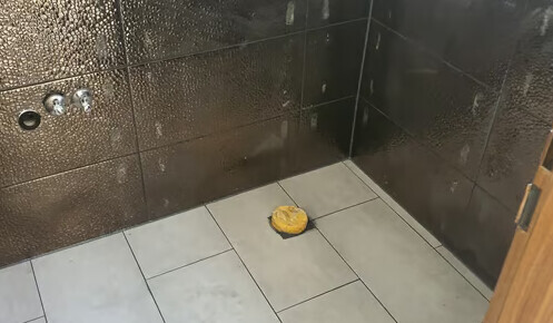 Bilder Svetoslav Petrov Fliesenleger