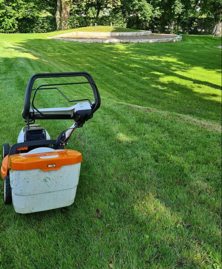 Bilder Sternberger Baum- & Landschaftspflege