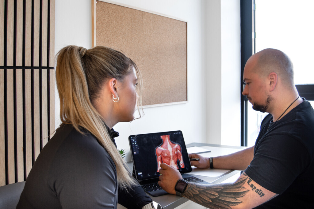 Bilder backandbones.