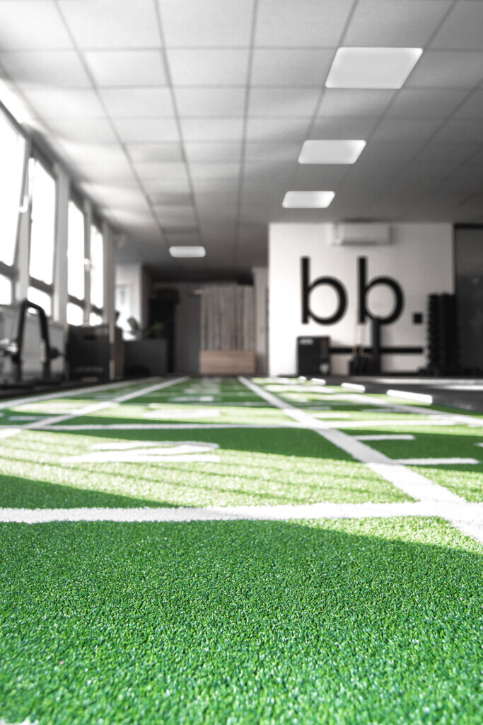 Bilder backandbones.