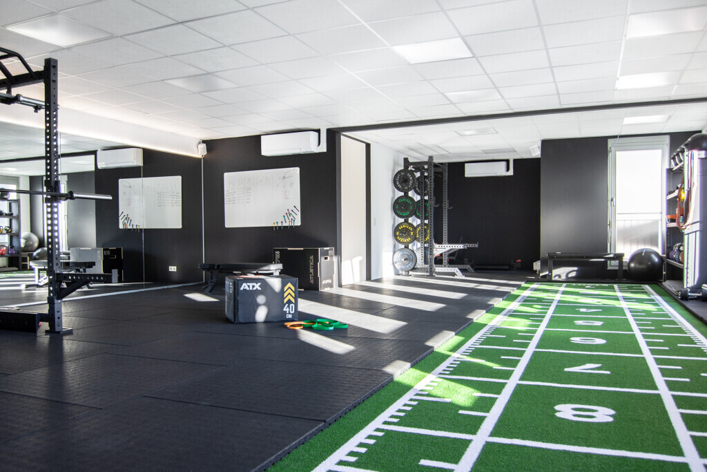 Bilder backandbones.