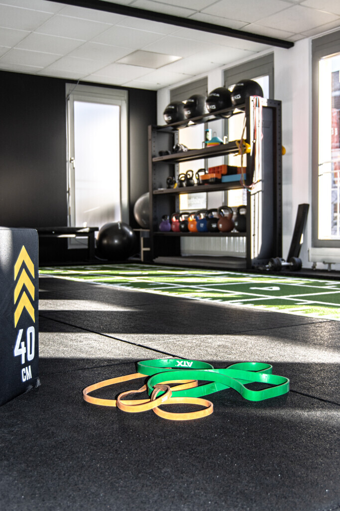 Bilder backandbones.