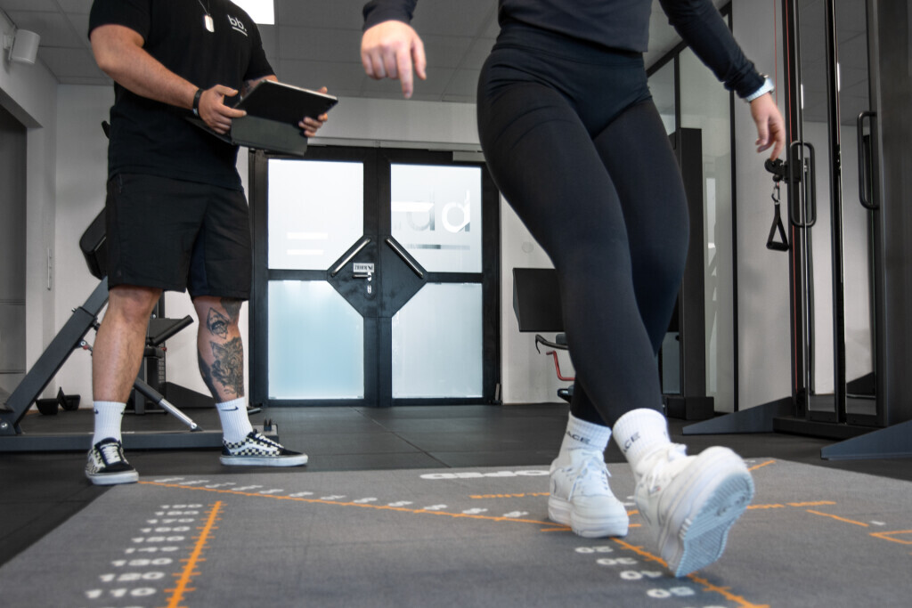 Bilder backandbones.