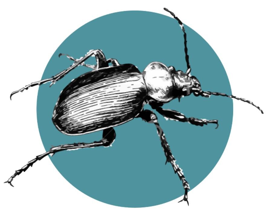 Naturgartenexperten Logo