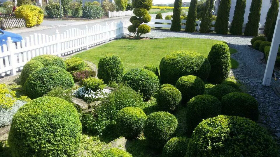 Bilder Büscher Gartenbau