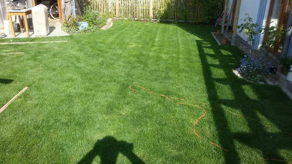 Bilder Büscher Gartenbau