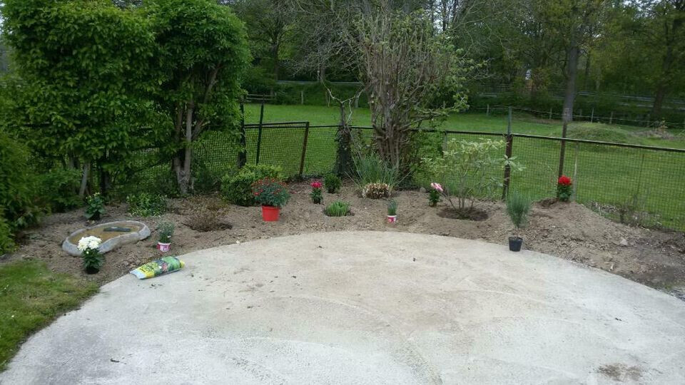 Bilder Büscher Gartenbau