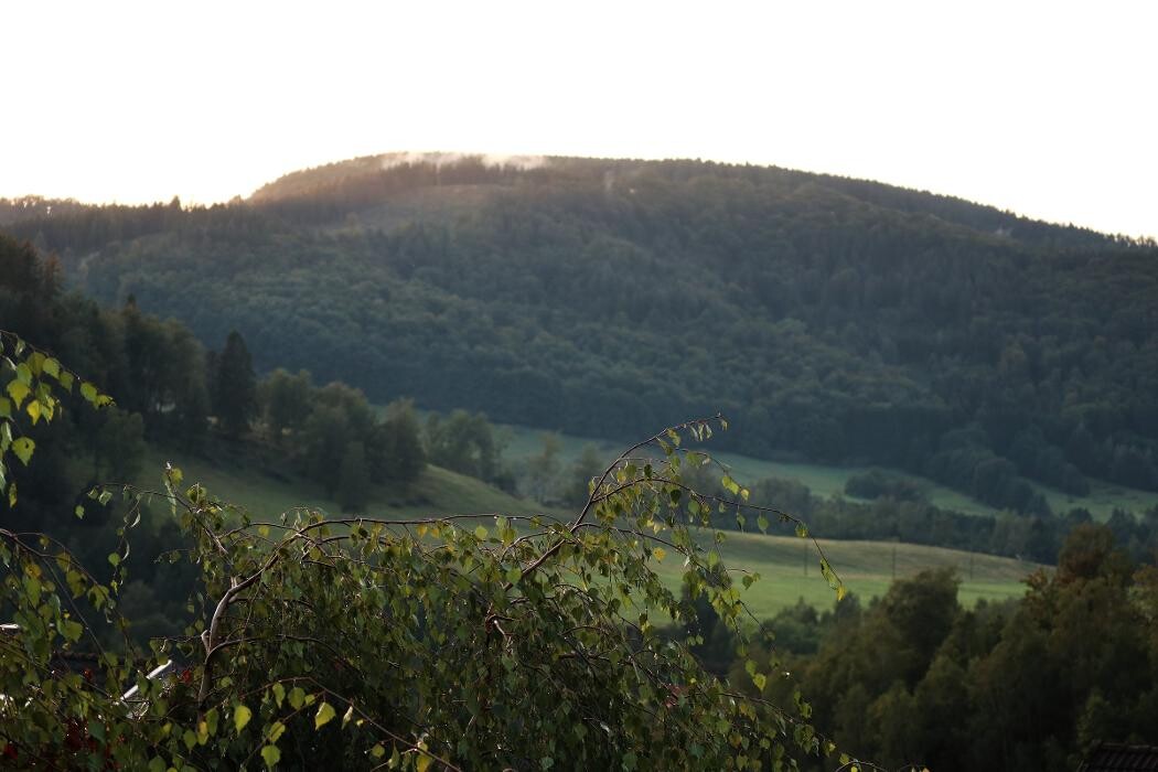 Bilder Birkenstübchen