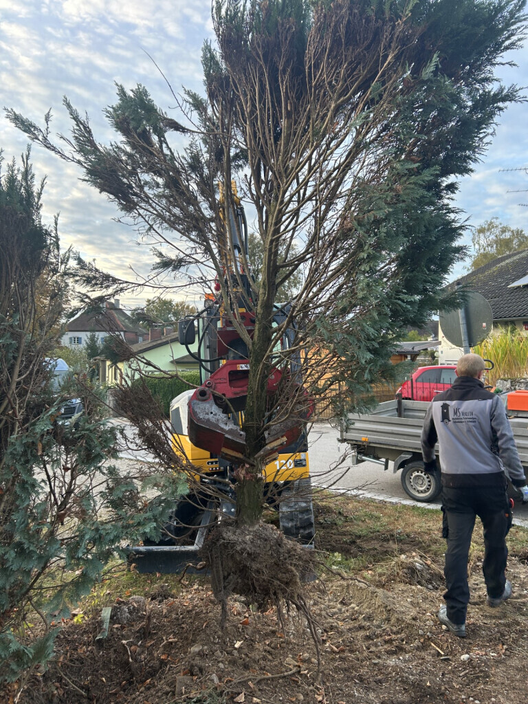 Bilder Mohaupt & Staudinger GbR