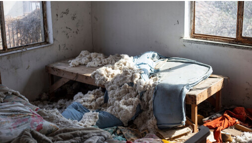 Bilder Rümpelwunder