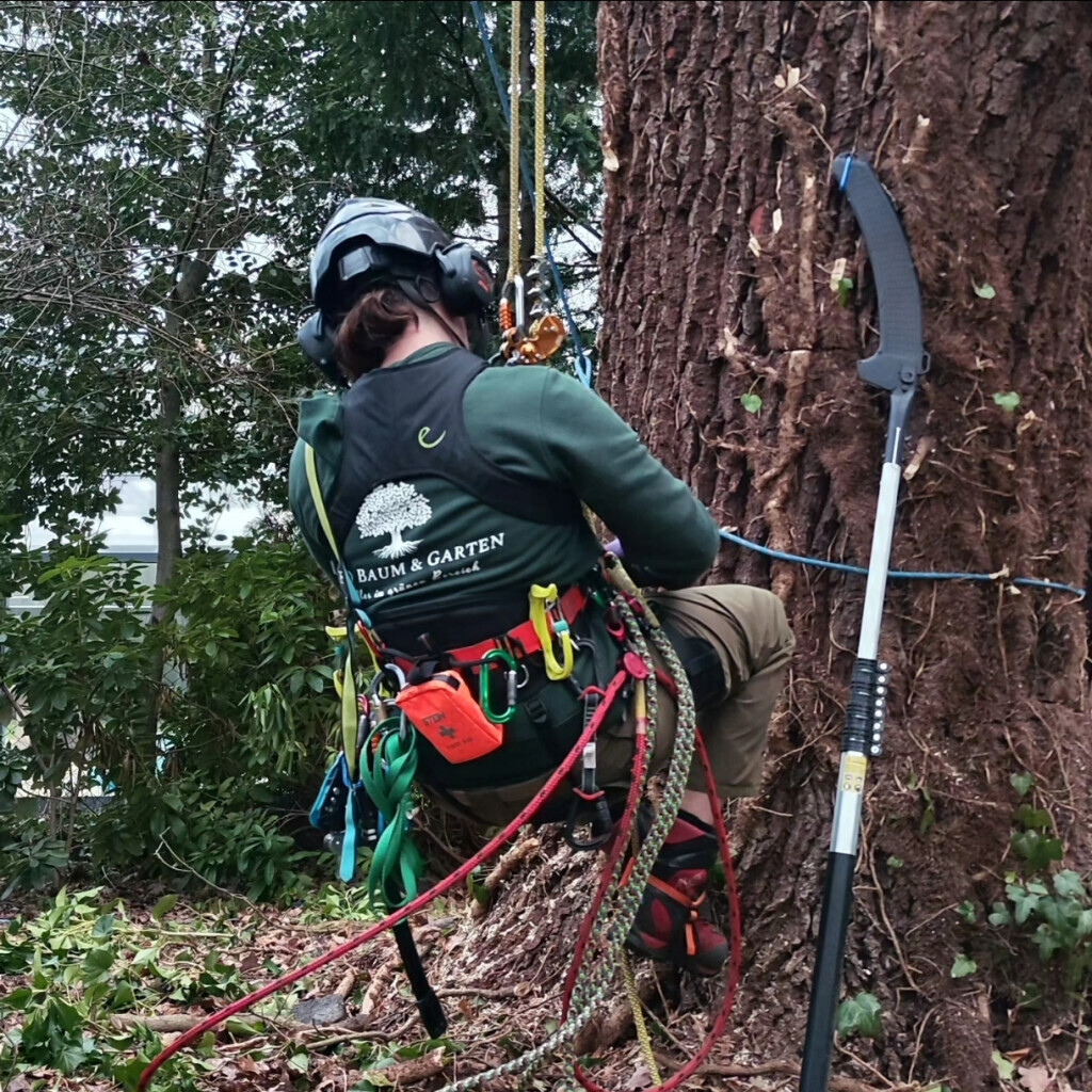 Bilder AFO Baum & Garten