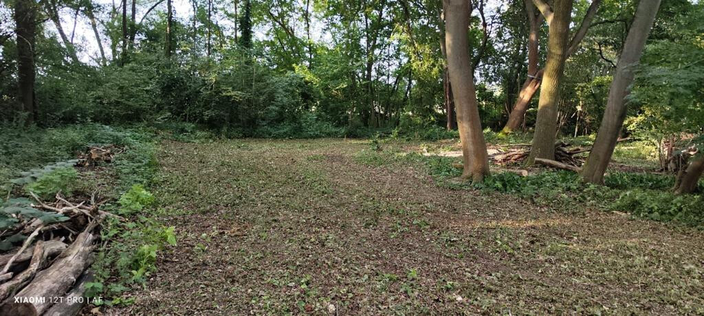 Bilder AFO Baum & Garten