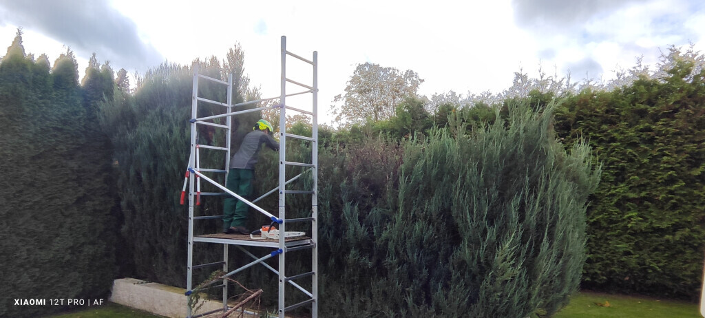 Bilder AFO Baum & Garten