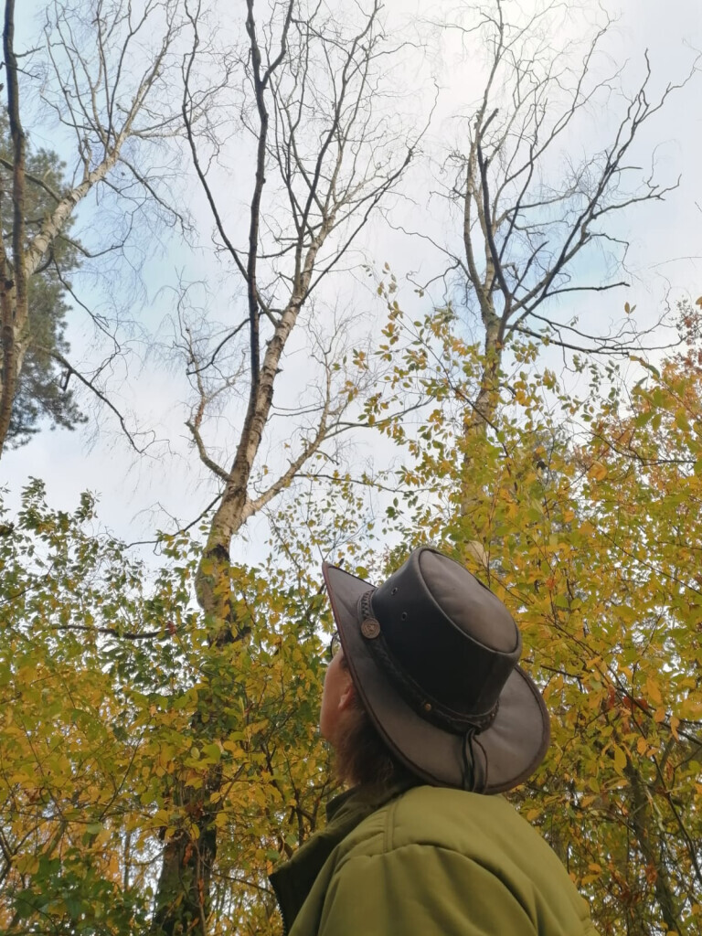 Bilder AFO Baum & Garten