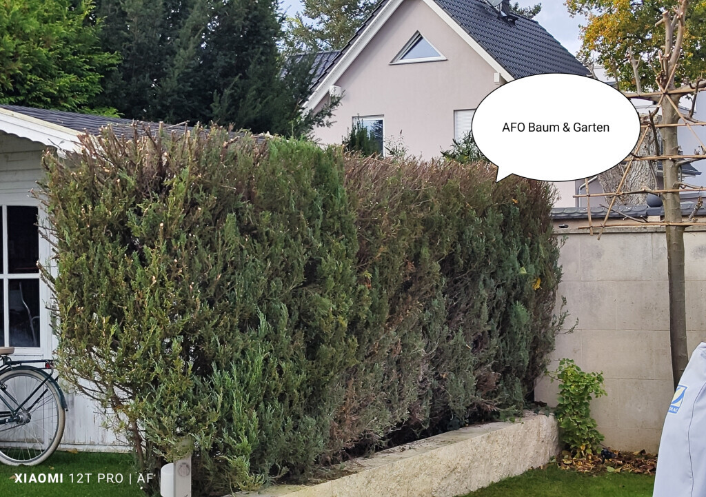 Bilder AFO Baum & Garten
