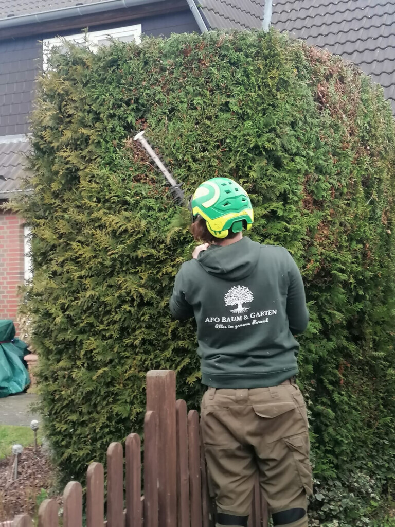 Bilder AFO Baum & Garten