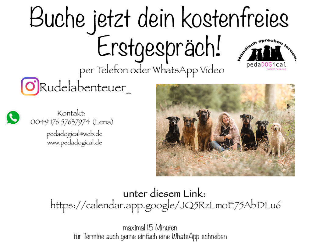Bilder PedaDOGical Hundetraining