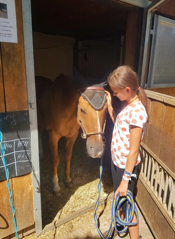 Bilder Praxis für Ergotherapie und Reittherapie Yvonne Morgenstern