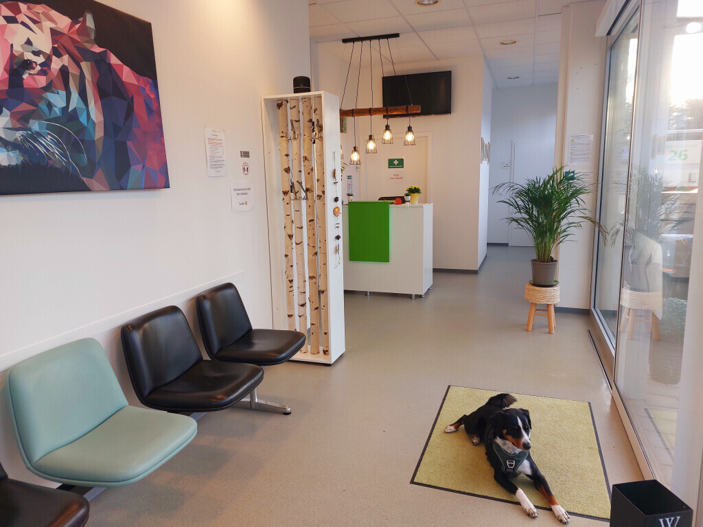 Bilder Praxis für Ergotherapie und Reittherapie Yvonne Morgenstern