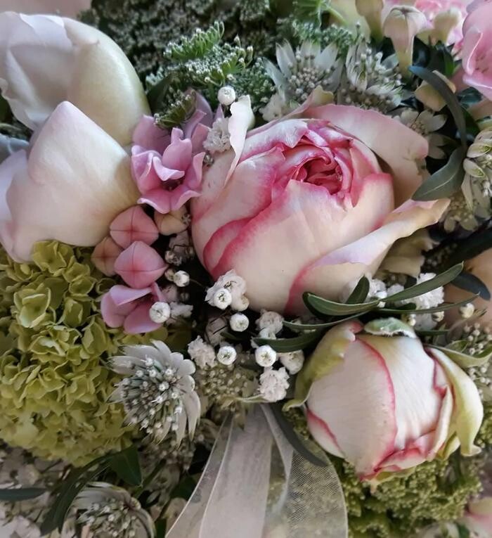 Bilder Florales Wiebke Gill