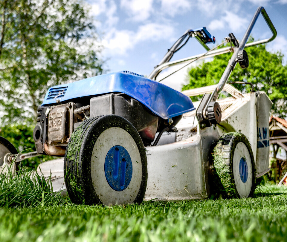 Bilder AS-Gartenservice