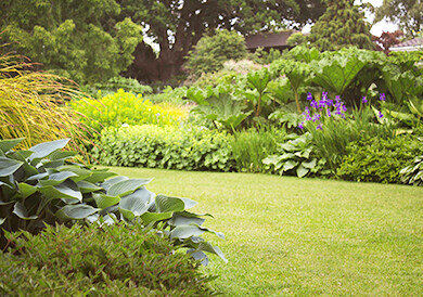 Bilder AS-Gartenservice