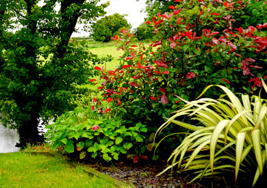 Bilder AS-Gartenservice