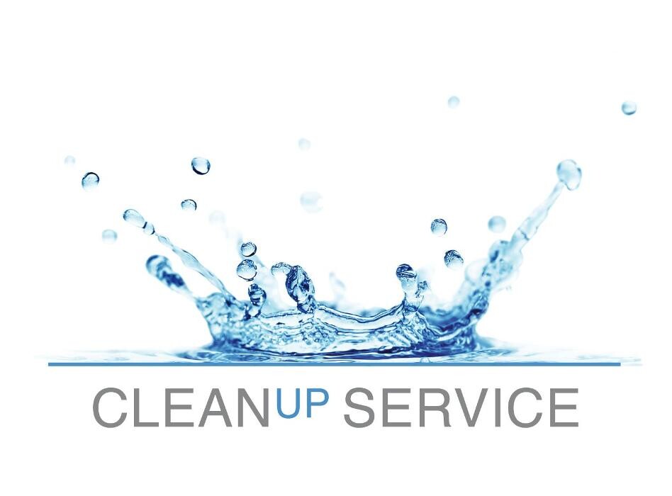 Cleanup Service GmbH Logo