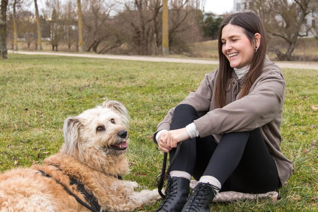 Bilder Hundecoaching Julia Isabella