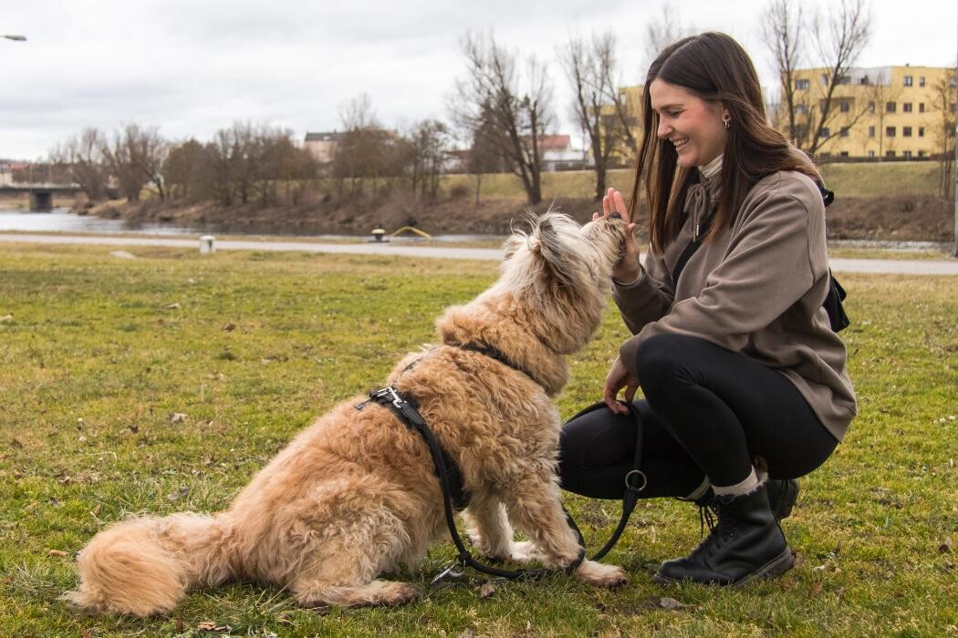Bilder Hundecoaching Julia Isabella