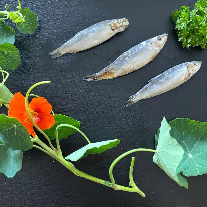 Bilder TARUS Heimtier-Naturkost GmbH