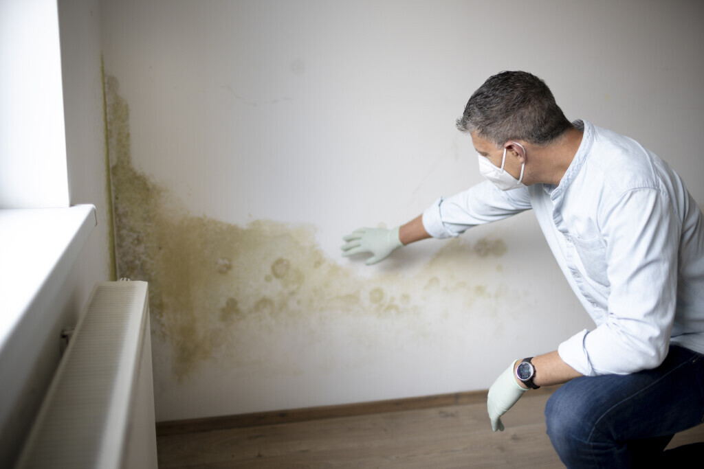 Bilder Bausachverständiger Philipp Gramlich