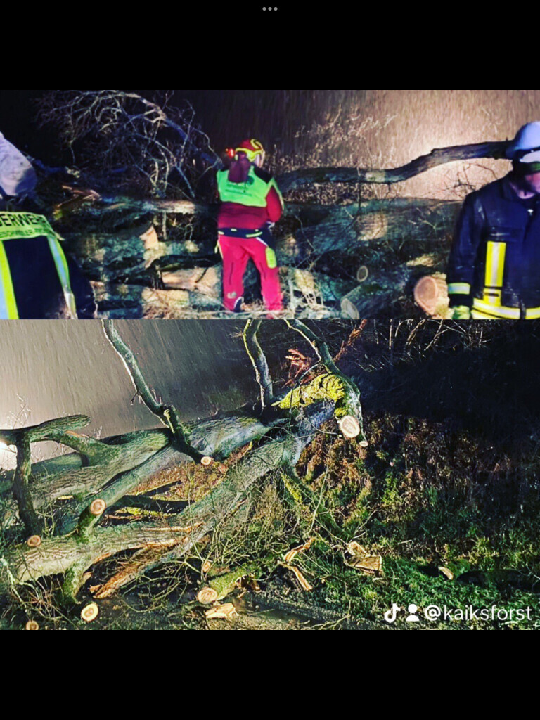 Bilder KS Forst- & Gartenbetrieb GmbH