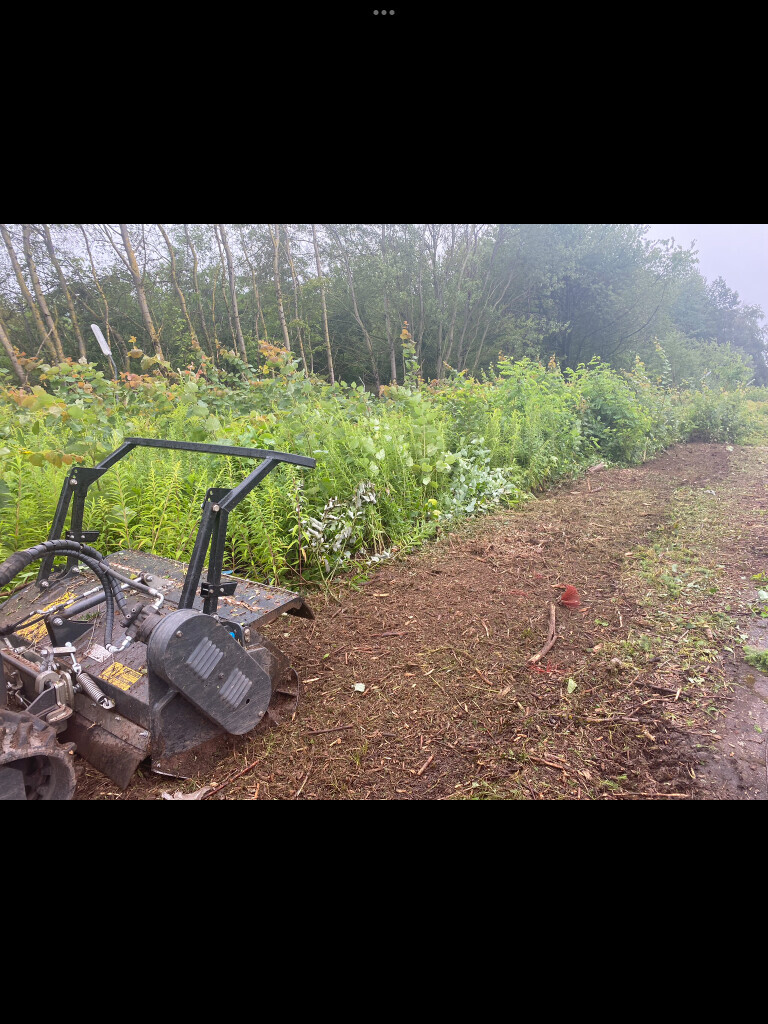 Bilder KS Forst- & Gartenbetrieb GmbH