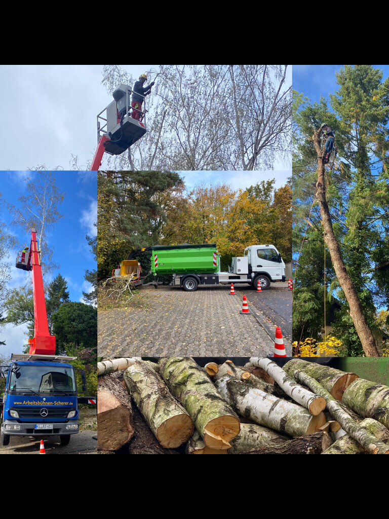 Bilder KS Forst- & Gartenbetrieb GmbH