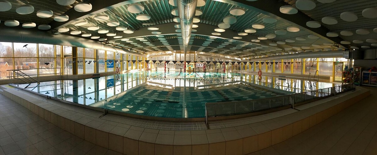 Bilder Viva Wassermäuse