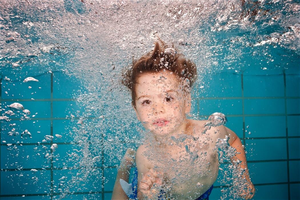 Bilder Viva Wassermäuse