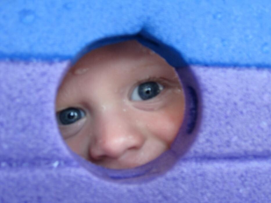 Bilder Viva Wassermäuse