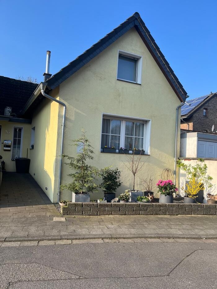 Bilder Viva Wassermäuse