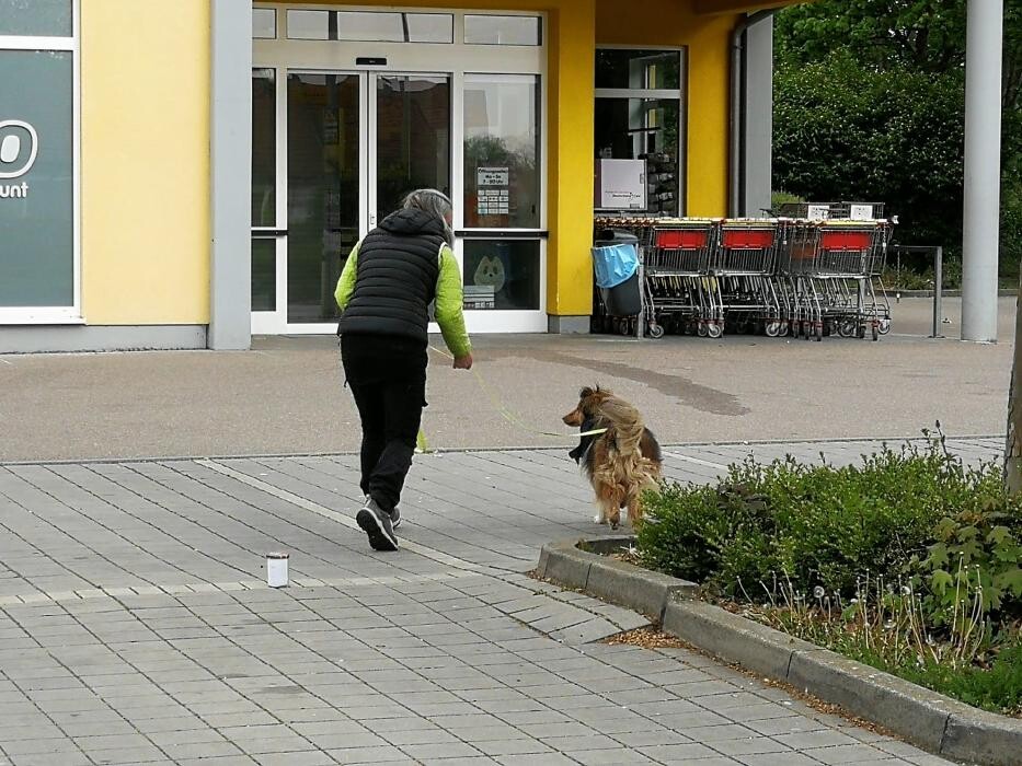 Bilder teamcoachingMenschHund