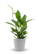 Bilder Zengler Gebäudemanagement