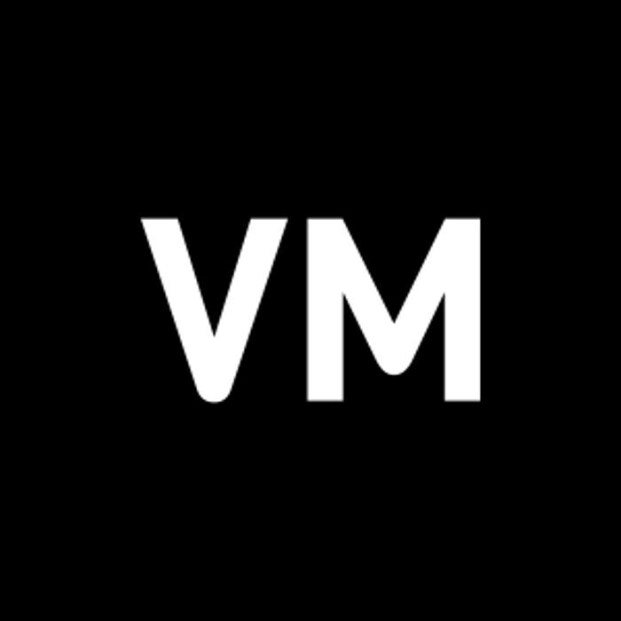 Vision Media Logo