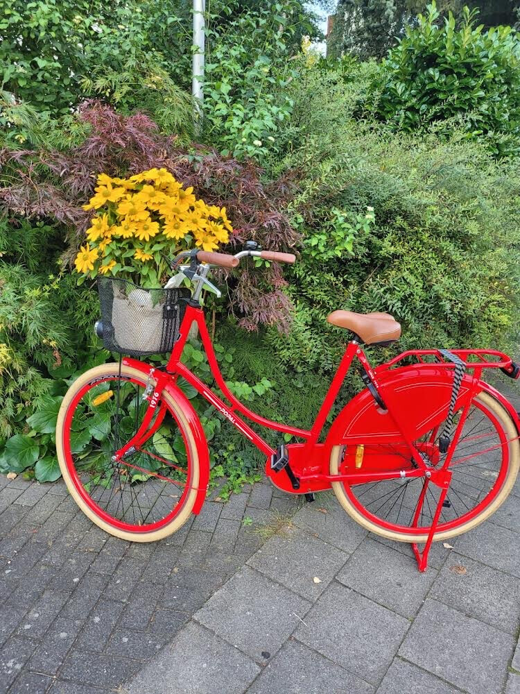 Bilder Eismanufaktur by Tiana