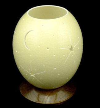 Bilder straussen-shop.com