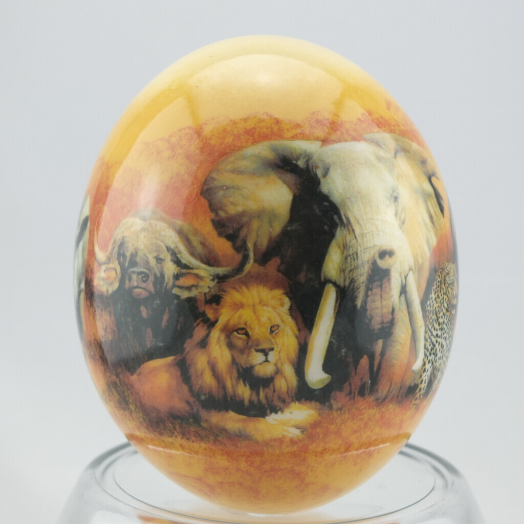 Bilder straussen-shop.com