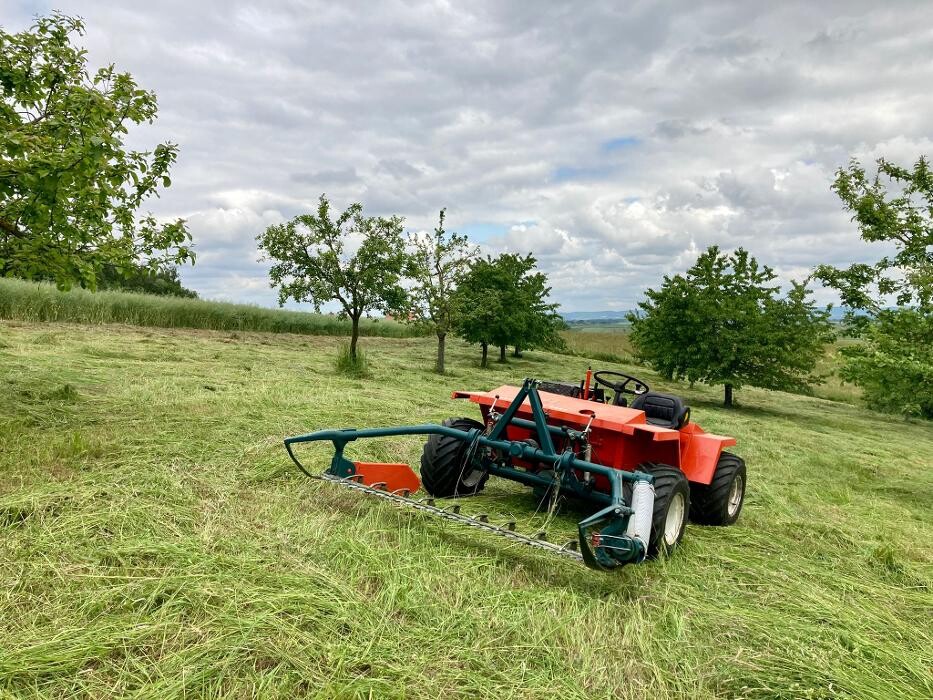 Bilder Dienstleistungen Wolfgang Kiendl