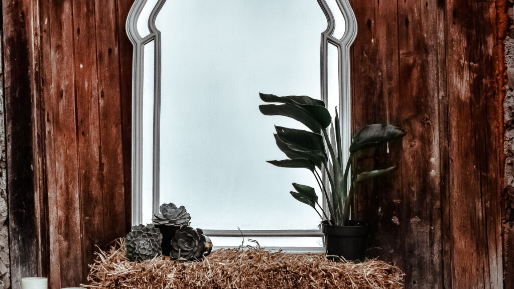 Bilder Dilator Design