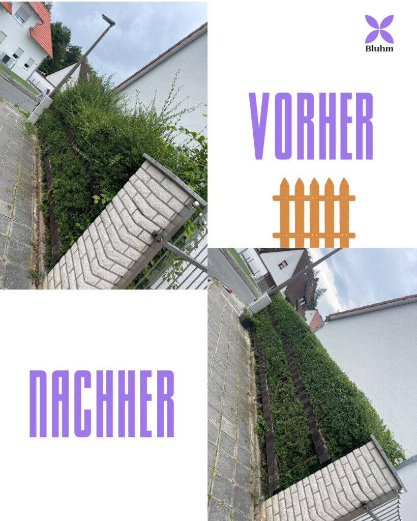 Bilder Bluhm Gartenpflege u. Gebäudeservice Alles rund ums Haus