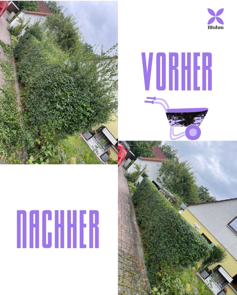 Bilder Bluhm Gartenpflege u. Gebäudeservice Alles rund ums Haus