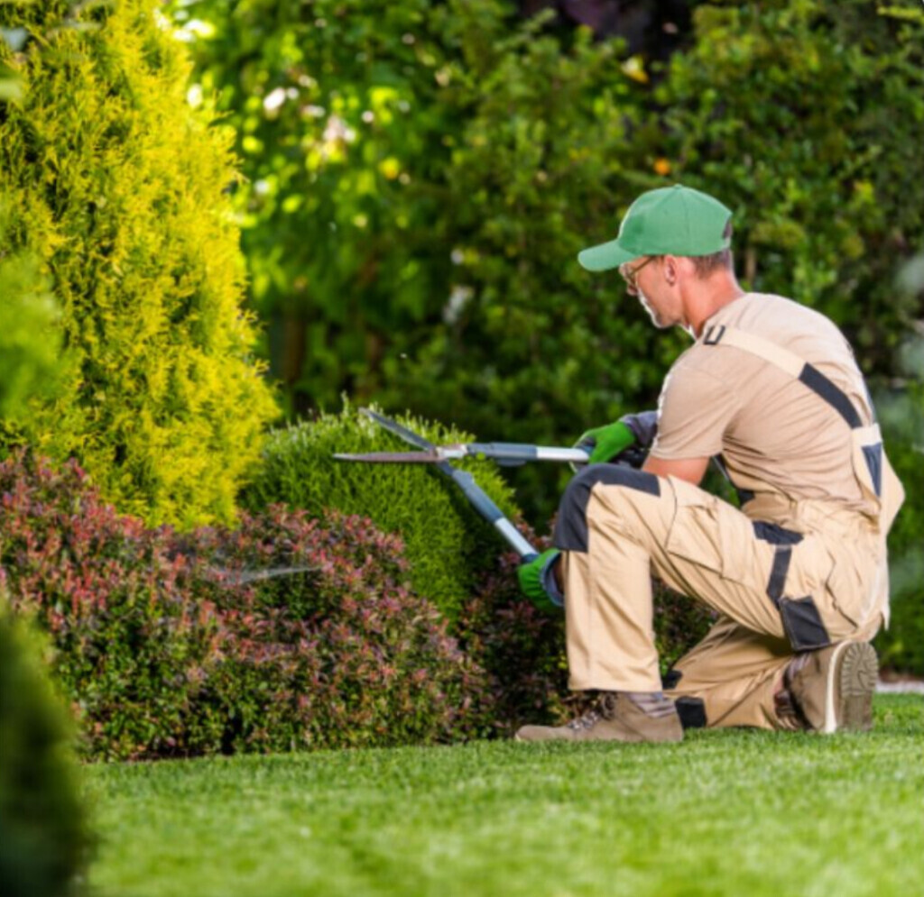 Bilder Bluhm Gartenpflege u. Gebäudeservice Alles rund ums Haus